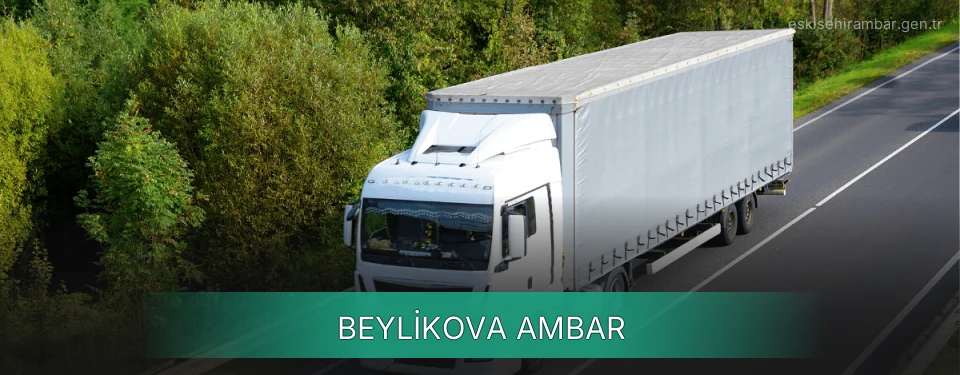 Beylikova Ambar
