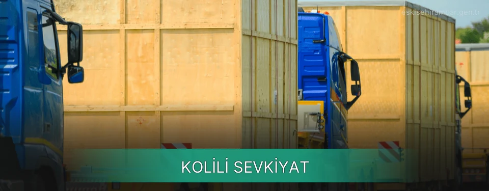 Eskişehir Kolili Sevkiyat Ambar Firmaları